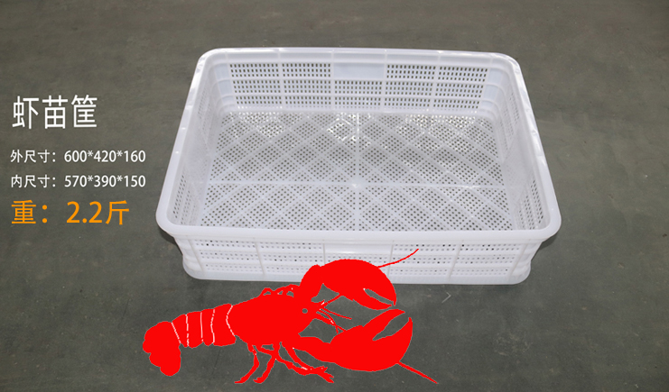 益樂上新啦!蝦苗存活率低?蝦苗筐聽完想打人