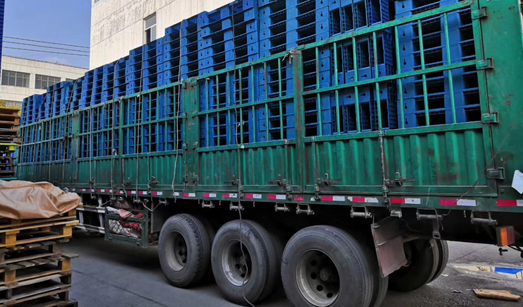 直擊！塑料托盤廠家的最新影像！