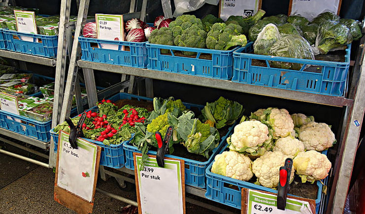 水果塑料周轉(zhuǎn)箱筐批發(fā)，快到筐里來！