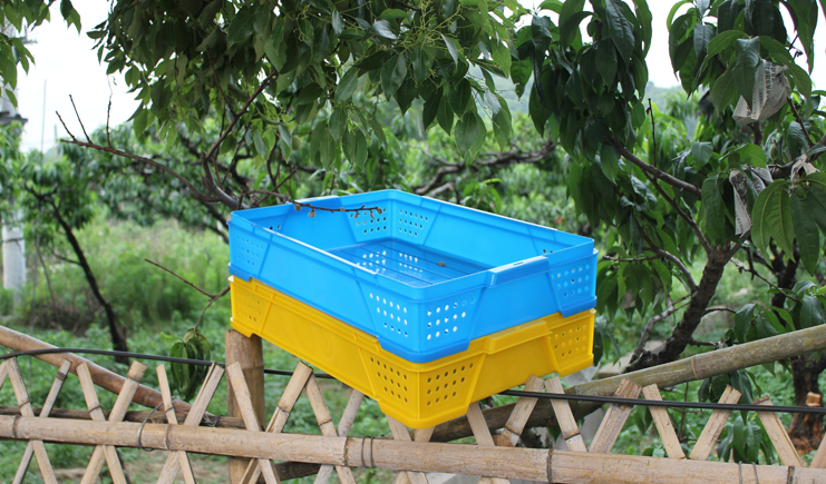 塑料周轉(zhuǎn)箱的顏色，實(shí)話實(shí)說，到底有多重要？