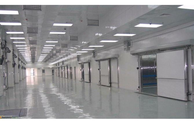 這款塑料托盤打入“冷宮”,也能混的如魚得水?